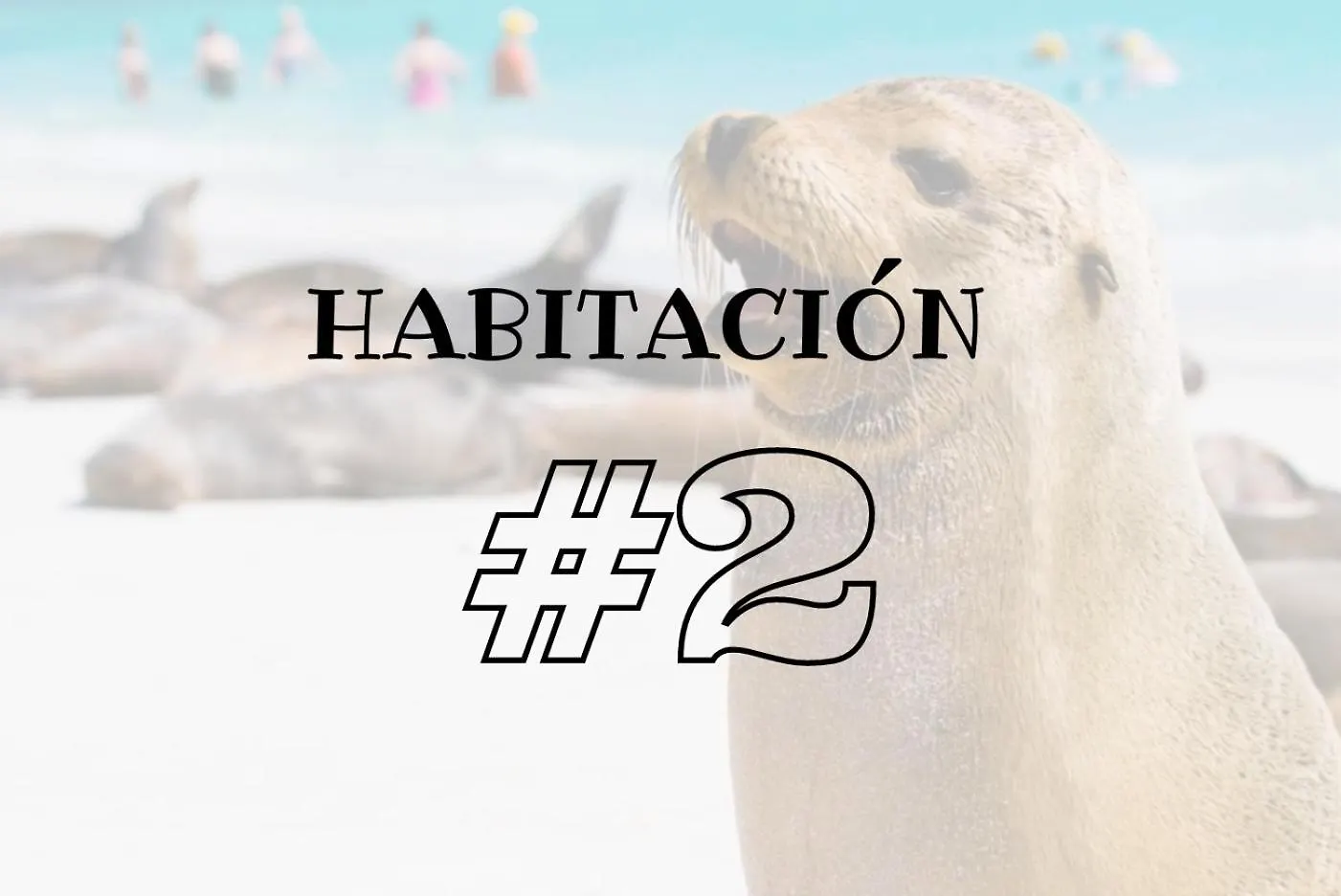 Séjour chez l'habitant Galapagos Private Room Puerto Baquerizo Moreno